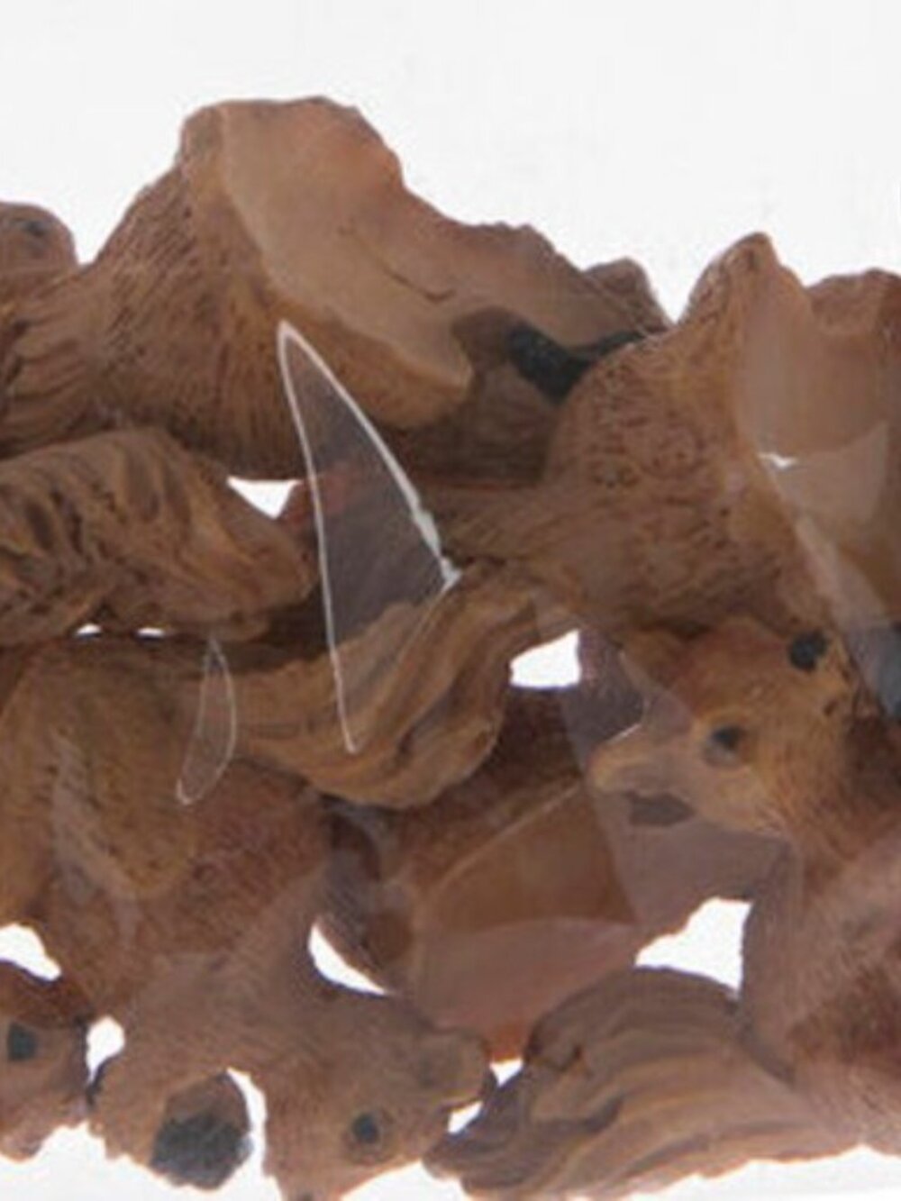 8 Mini Squirrels & Pinecones Autumn Fall Decorations Miniature Dollhouse Decor - Picture 3 of 4